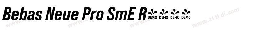 Bebas Neue Pro SmE R字体转换